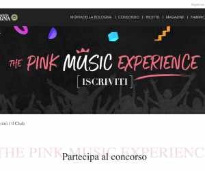 THE PINK MUSIC EXPERIENCE