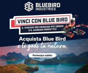 VINCI CON BLUE BIRD