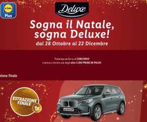 CONCORSO DELUXE NATALE 2024