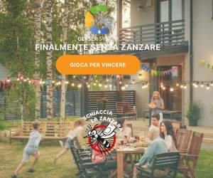 SCHIACCIA LA ZANZARA